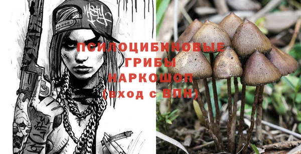твердый Дмитриев
