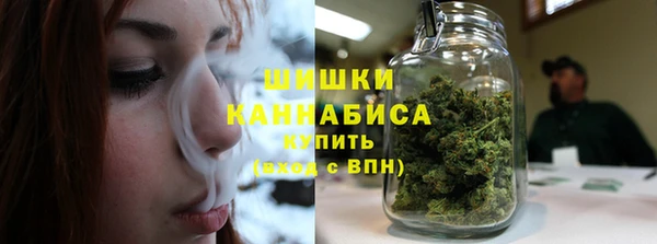 твердый Дмитриев
