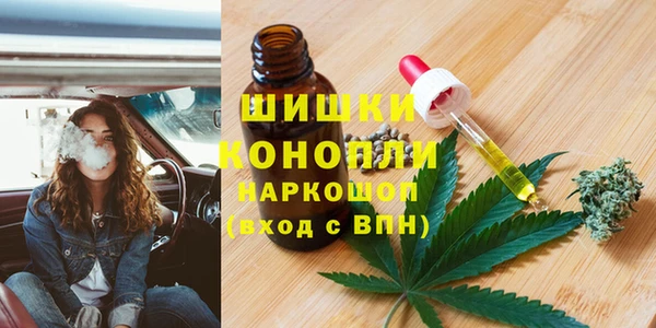 твердый Дмитриев
