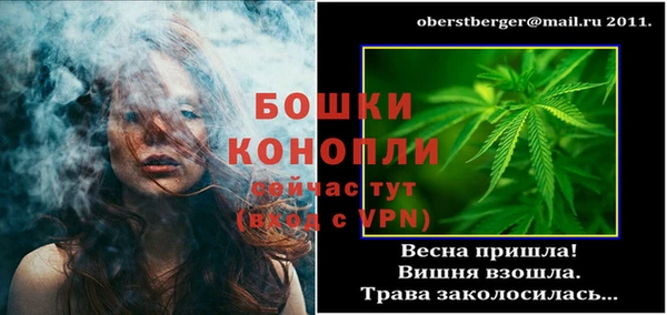 твердый Дмитриев